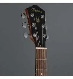 Ibanez V40CE-OPN