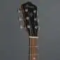 Ibanez V40CE-OPN