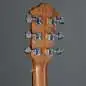 Ibanez V40CE-OPN
