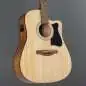 Ibanez V40CE-OPN