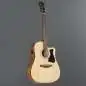 Ibanez V40CE-OPN