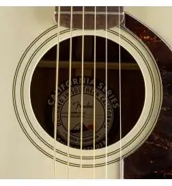 Fender Malibu Player WN Olympic White