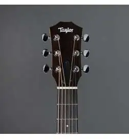 Taylor GS Mini Sapele