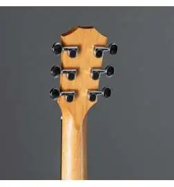 Taylor GS Mini Sapele