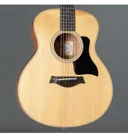 Taylor GS Mini Sapele