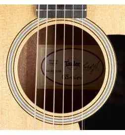 Taylor GS Mini Sapele