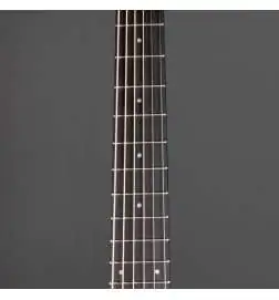 Taylor GS Mini Sapele