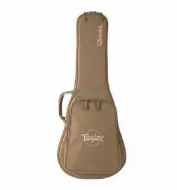 Taylor GS Mini Sapele
