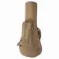 Taylor GS Mini Sapele