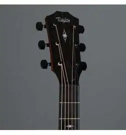 Taylor 324 V-Class