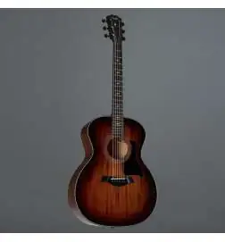 Taylor 324 V-Class inkl. Case