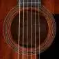 Taylor 324 V-Class