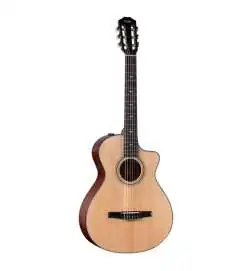 Taylor 312ce-N