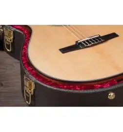 Taylor 312ce-N