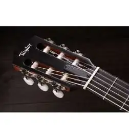 Taylor 312ce-N