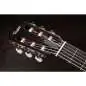 Taylor 312ce-N