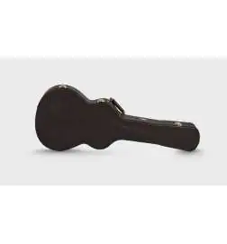 Taylor 312ce-N