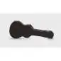 Taylor 312ce-N