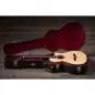 Taylor 312ce-N