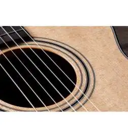 Taylor 312ce-N