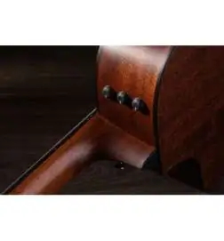 Taylor 312ce-N