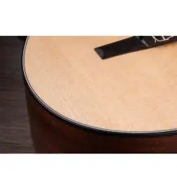 Taylor 312ce-N