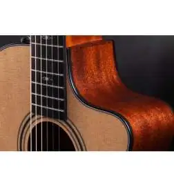 Taylor 312ce-N