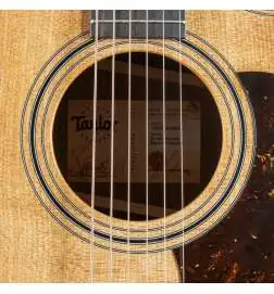 Taylor 314ce Studio Natural