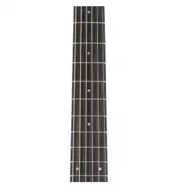 Taylor 314ce Studio Natural