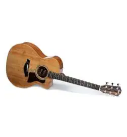 Taylor 314ce Studio Natural