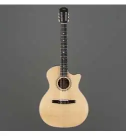 Taylor 314ce-N