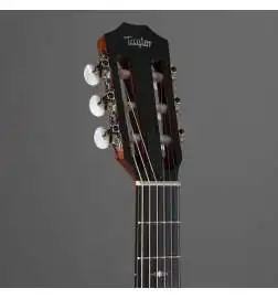 Taylor 314ce-N