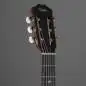 Taylor 314ce-N
