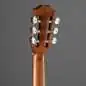 Taylor 314ce-N