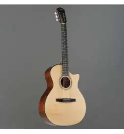 Taylor 314ce-N