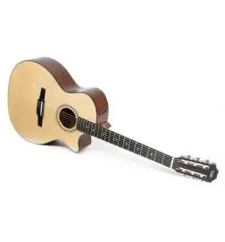Taylor 314ce-N