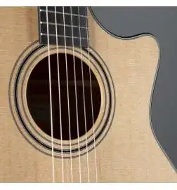 Taylor 314ce-N