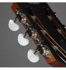 Taylor 314ce-N