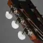 Taylor 314ce-N
