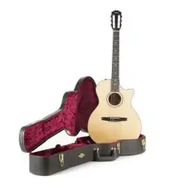 Taylor 314ce-N