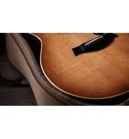 Taylor 314ce Studio Shaded Edgeburst