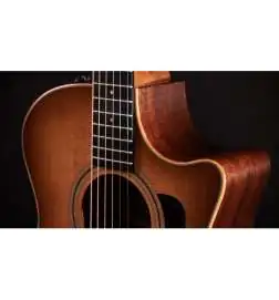 Taylor 314ce Studio Shaded Edgeburst