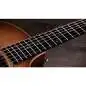 Taylor 314ce Studio Shaded Edgeburst