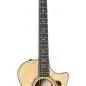 Taylor 312ce