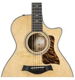 Taylor 312ce