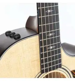 Taylor 312ce