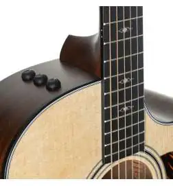 Taylor 314ce