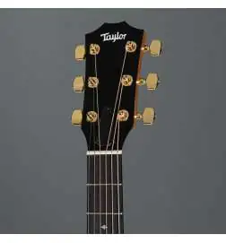 Taylor 224ce-K DLX Lefthand