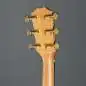 Taylor 224ce-K DLX Lefthand