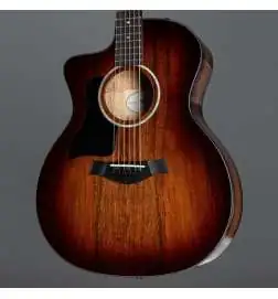 Taylor 224ce-K DLX Lefthand